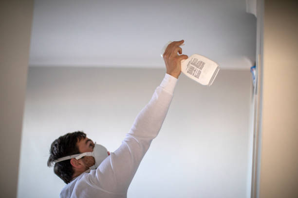 Best Mold Remediation Experts  in Stanton, TX