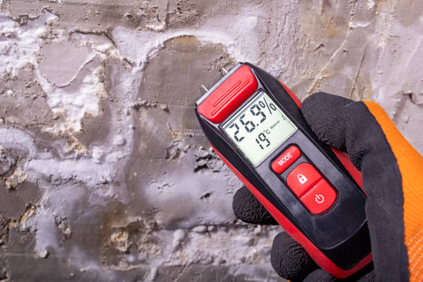 Best Attic Mold Removal  in Stanton, TX