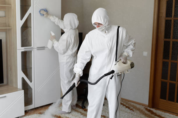 Best Residential Mold Removal  in Stanton, TX