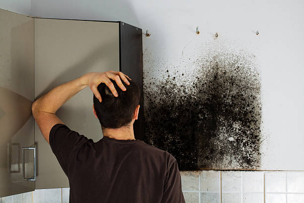 Best Mold Cleaning Services  in Stanton, TX